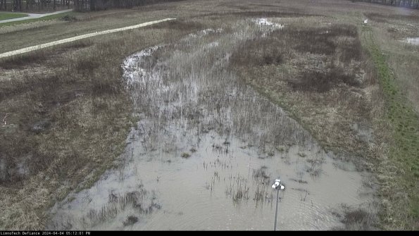 Cell 1_24-04-04_17-12-01-47