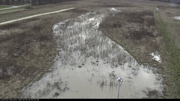 Cell 1_24-04-04_17-45-29-49