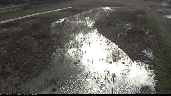 Cell 1_24-04-04_18-18-59-54