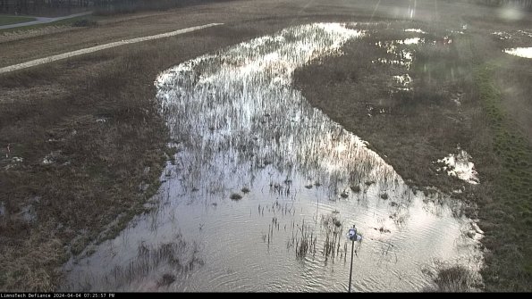 Cell 1_24-04-04_19-25-57-50