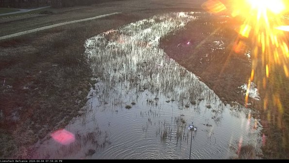 Cell 1_24-04-04_19-59-26-52