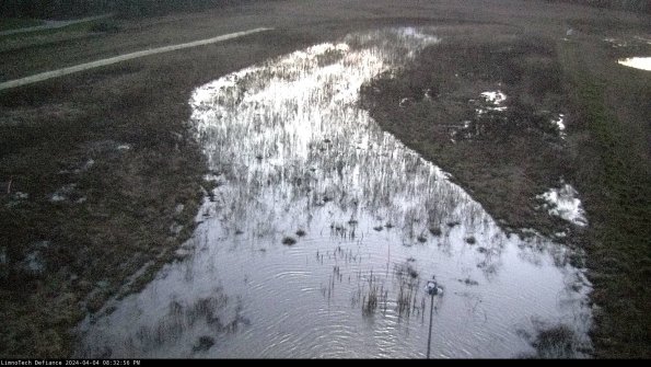 Cell 1_24-04-04_20-32-56-50