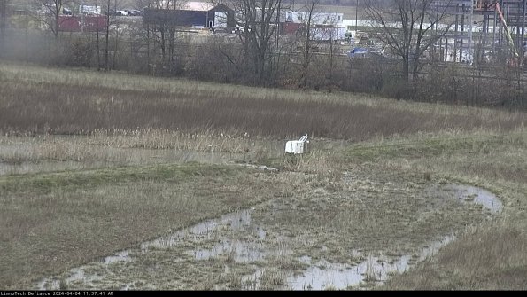 Cell 2 to 3_24-04-04_11-37-41-54