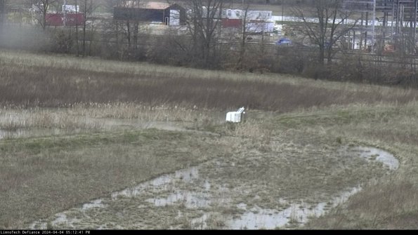 Cell 2 to 3_24-04-04_17-12-41-55