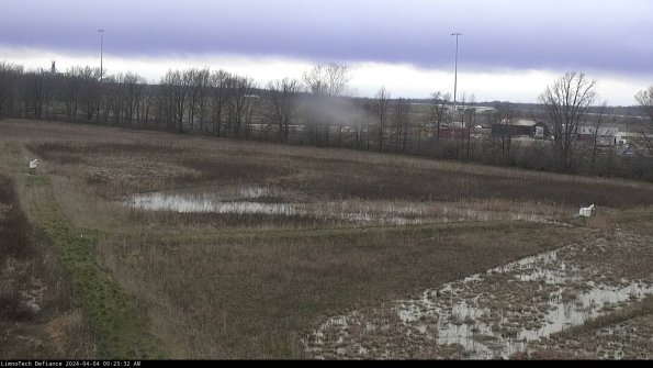 Cell 2_24-04-04_09-23-32-50