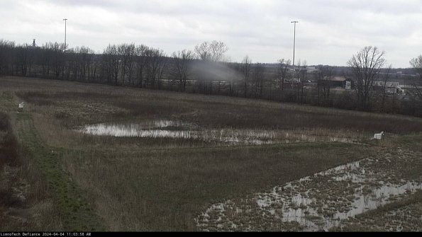 Cell 2_24-04-04_11-03-58-54