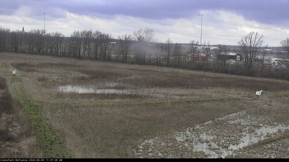 Cell 2_24-04-04_11-37-28-53