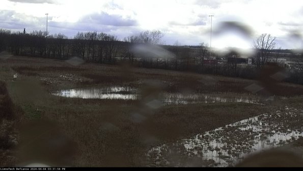 Cell 2_24-04-04_15-31-56-58