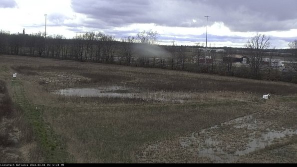 Cell 2_24-04-04_17-12-28-50