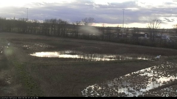 Cell 2_24-04-04_19-26-24-53