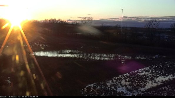 Cell 2_24-04-04_19-59-53-58