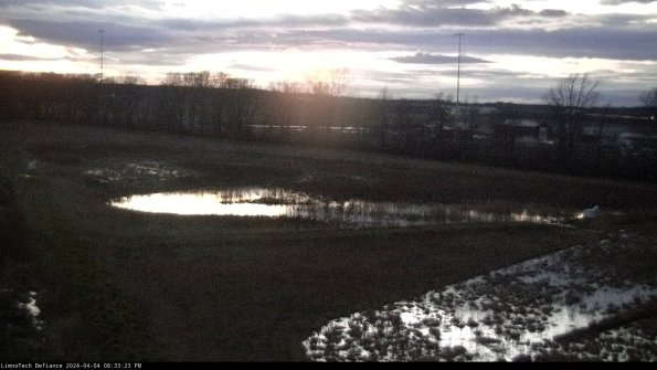 Cell 2_24-04-04_20-33-23-53