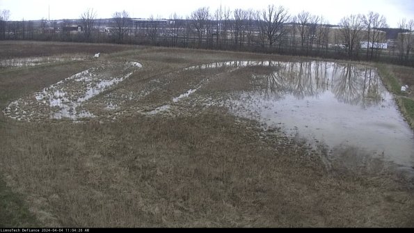 Cell 3_24-04-04_11-04-26-47