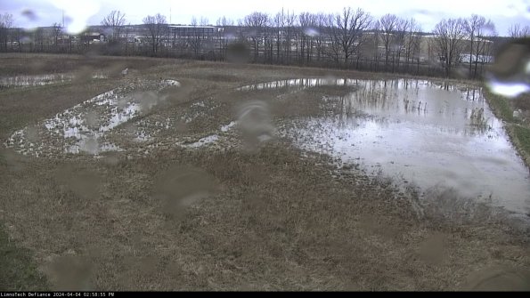 Cell 3_24-04-04_14-58-55-49