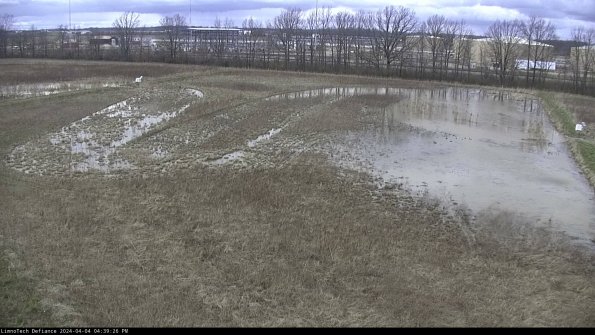 Cell 3_24-04-04_16-39-26-54