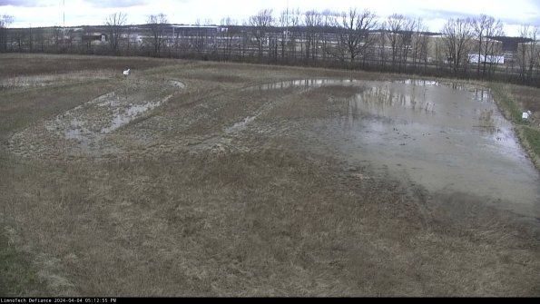 Cell 3_24-04-04_17-12-55-73