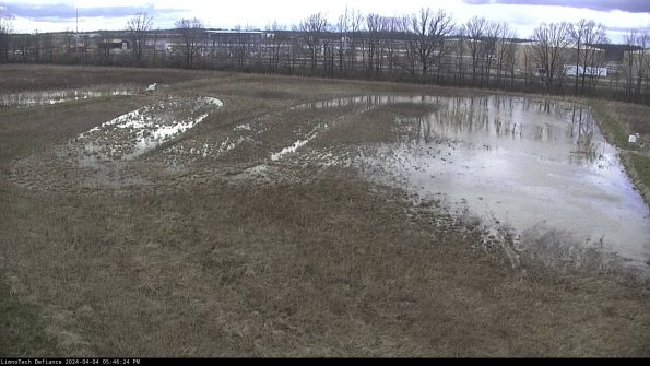 Cell 3_24-04-04_17-46-24-51