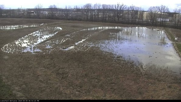 Cell 3_24-04-04_18-53-23-51