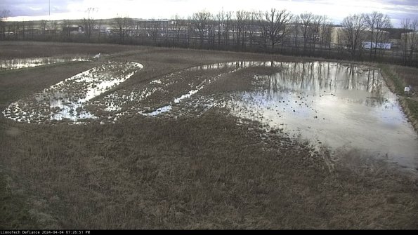 Cell 3_24-04-04_19-26-51-73