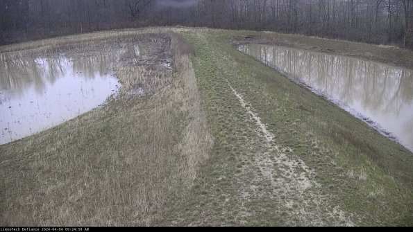 Cell 4 to Basin_24-04-04_09-24-58-52