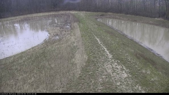 Cell 4 to Basin_24-04-04_10-31-55-48