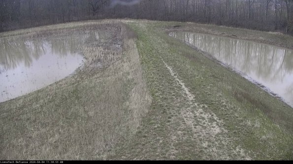 Cell 4 to Basin_24-04-04_11-38-53-51