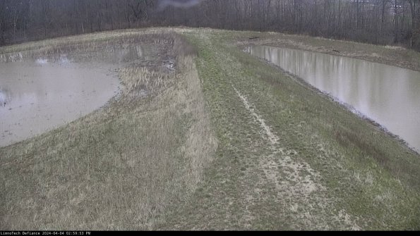 Cell 4 to Basin_24-04-04_14-59-53-52