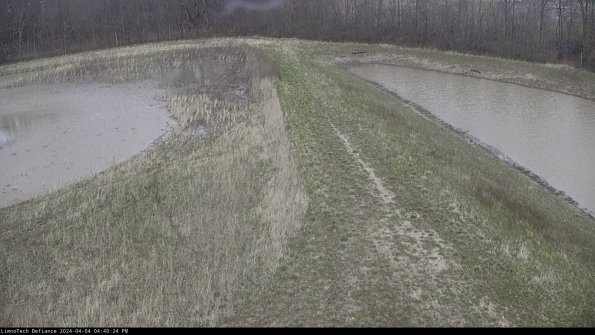 Cell 4 to Basin_24-04-04_16-40-24-50