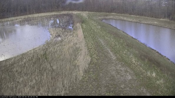 Cell 4 to Basin_24-04-04_18-20-52-55