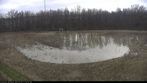 Cell 4_24-04-04_11-04-54-47