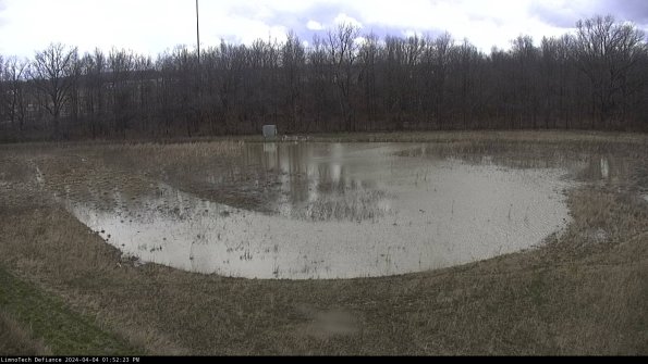 Cell 4_24-04-04_13-52-23-52