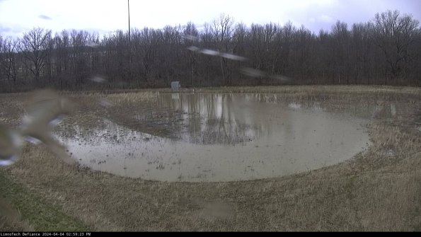 Cell 4_24-04-04_14-59-23-52