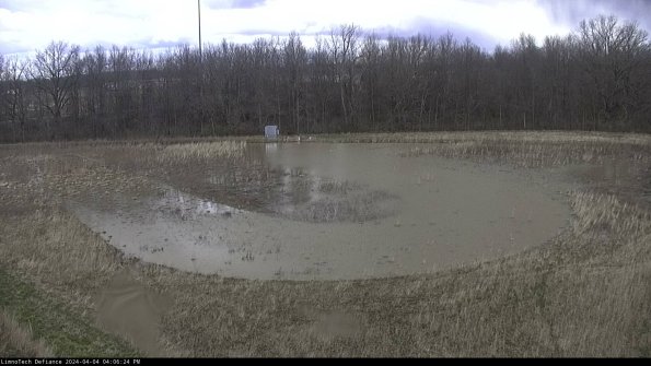 Cell 4_24-04-04_16-06-24-52