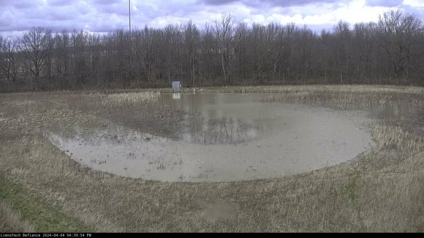 Cell 4_24-04-04_16-39-54-54