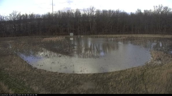 Cell 4_24-04-04_18-20-22-52