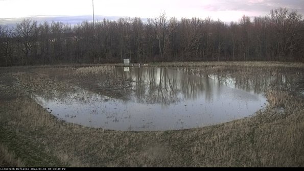 Cell 4_24-04-04_20-00-49-50