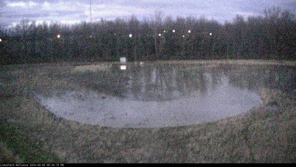 Cell 4_24-04-04_20-34-19-52