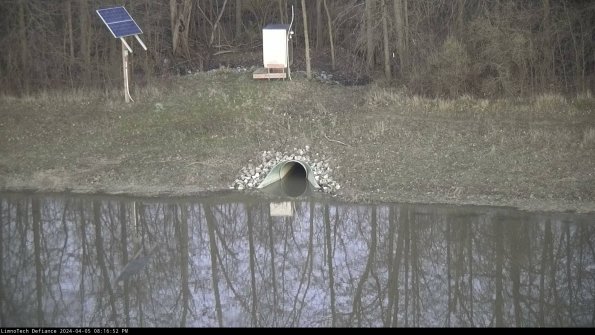 Basin Inflow_24-04-05_20-16-53-32