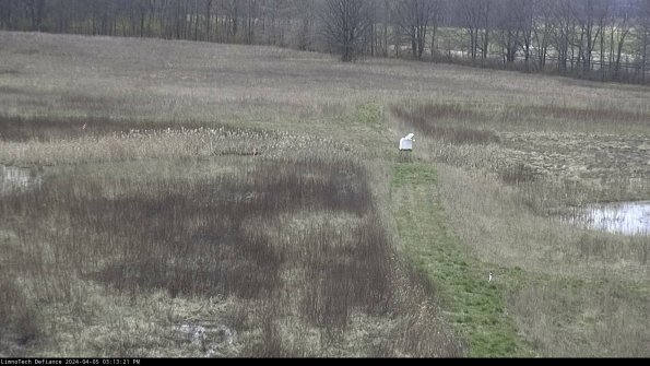 Cell 1 to 2_24-04-05_15-13-22-32