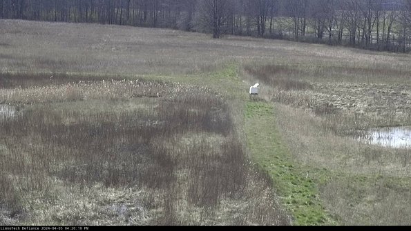 Cell 1 to 2_24-04-05_16-20-20-30