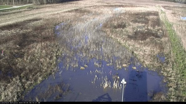 Cell 1_24-04-05_08-16-21-50