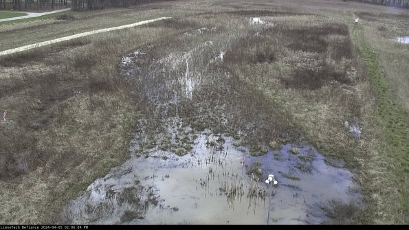 Cell 1_24-04-05_14-06-10-32