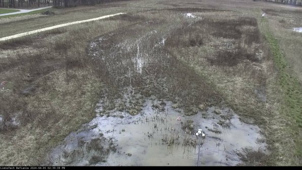 Cell 1_24-04-05_14-39-40-33