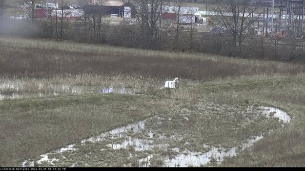 Cell 2 to 3_24-04-05_13-33-20-48