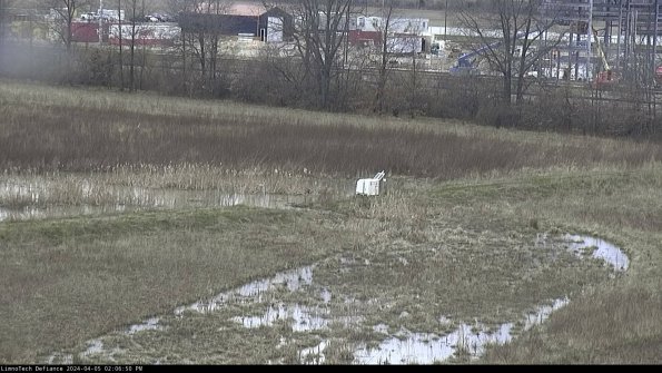 Cell 2 to 3_24-04-05_14-06-50-42