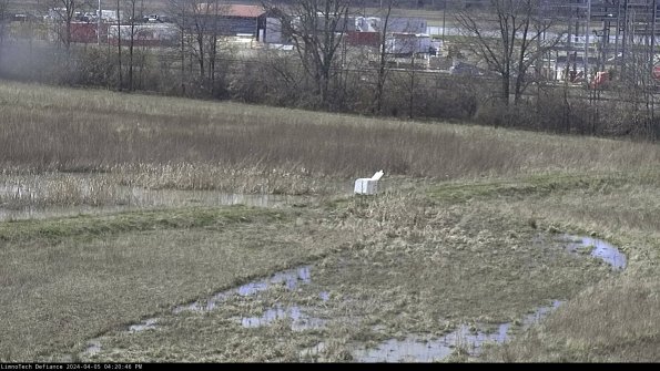 Cell 2 to 3_24-04-05_16-20-46-52