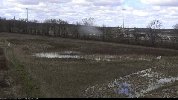 Cell 2_24-04-05_12-59-39-33