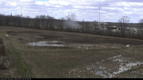 Cell 2_24-04-05_14-06-37-34