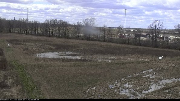 Cell 2_24-04-05_15-13-35-33