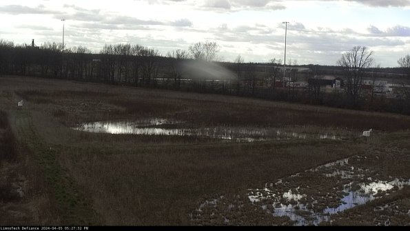 Cell 2_24-04-05_17-27-33-33